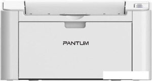 Принтер Pantum P2200