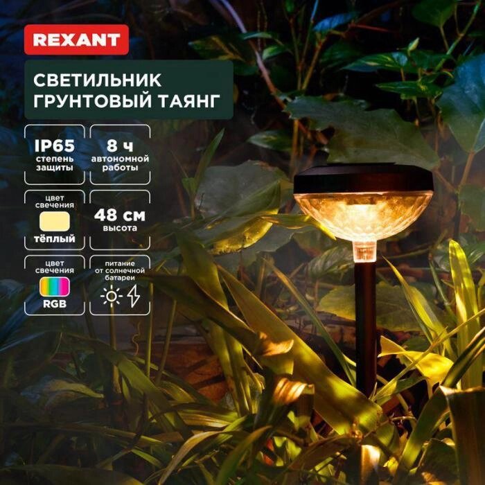 REXANT (602-2429) грунтовый Таянг, 3000К/RGB от компании 2255 by - онлайн гипермаркет - фото 1