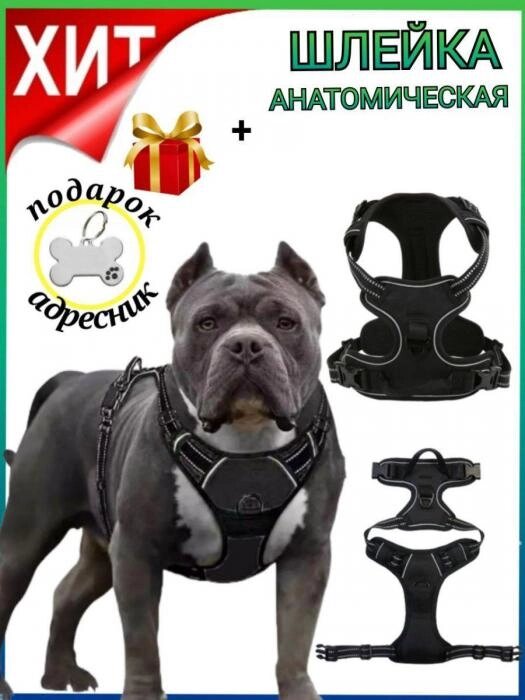Шлейка для собак мелких средних и крупных пород анатомическая черная от компании 2255 by - онлайн гипермаркет - фото 1