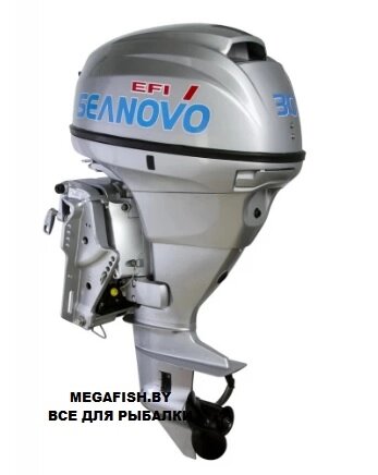 Мотор 4T Seanovo SNEF 30 FEL-T EFI от компании Megafish - фото 1