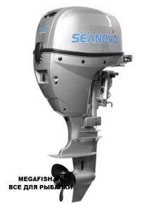Мотор 4T seanovo SNF 15 FES