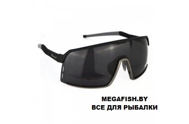 Очки поляризационные Tagrider в чехле N34-2 GRAY от компании Megafish - фото 1