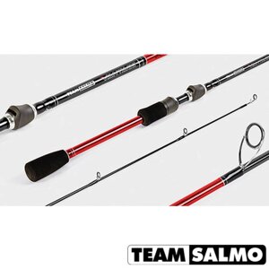 Спиннинг Team Salmo VANTAGE 18 7.10 одночастный