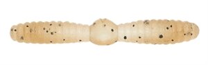 Червь силиконовый MEGABASS CATS KILL WORM 1,5", 10 шт в уп., цвет: Bone Shrimp