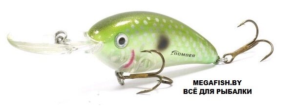 Воблер Bomber Fat Free Shad Jr. BD6F (14 гр; 6.13 см; 2.4-3.6 м) GGH от компании Megafish - фото 1