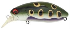 Воблер IMA Roumba, 76мм, 14гр.. цвет #123 Bull Frog от компании Megafish - фото 1