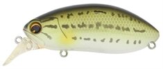 Воблер IMA Roumba, 76мм, 16гр.. цвет #119 Baby Bass от компании Megafish - фото 1