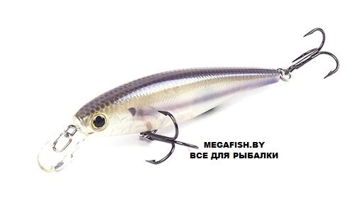 Воблер Lucky Craft Pointer 100SP (18 гр; 10 см; 1.2-1.5 м) 241 Striped Shad от компании Megafish - фото 1