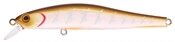Воблер ZIPBAITS Rigge 90F цвет №109M от компании Megafish - фото 1