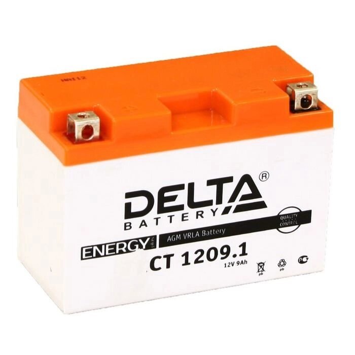 Аккумуляторная батарея Delta СТ1209.1 (YT9B-BS)12V, 9 Ач прямая (+ -) от компании Интернет-гипермаркет «MOLL» - фото 1