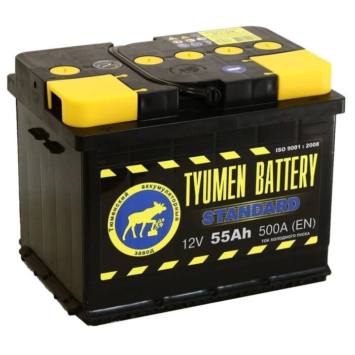 Аккумуляторная батарея Тюмень 55 Ач 6СТ-55L, Standard от компании Интернет-гипермаркет «MOLL» - фото 1