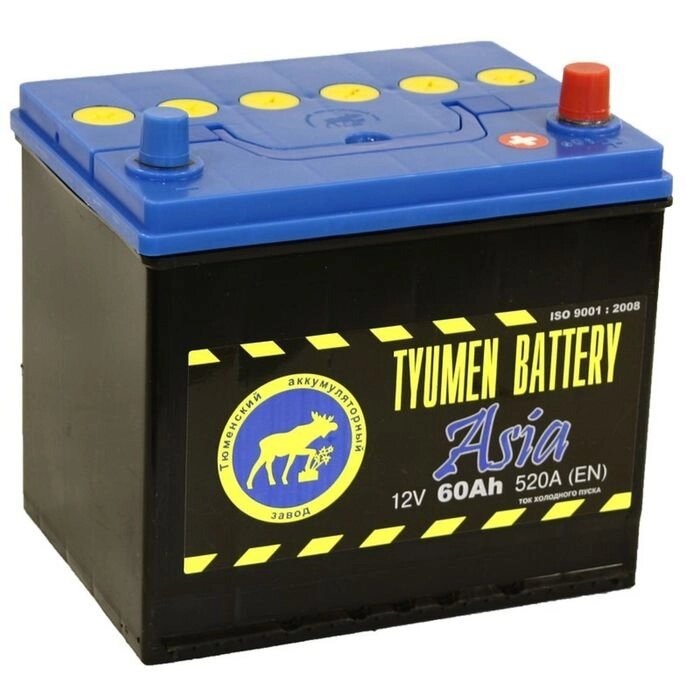 Аккумуляторная батарея Тюмень 60 Ач, обратная полярность 6СТ-60L, Азия от компании Интернет-гипермаркет «MOLL» - фото 1