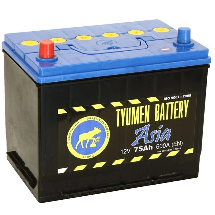 Аккумуляторная батарея Тюмень 75 Ач 6СТ-75L, Азия от компании Интернет-гипермаркет «MOLL» - фото 1