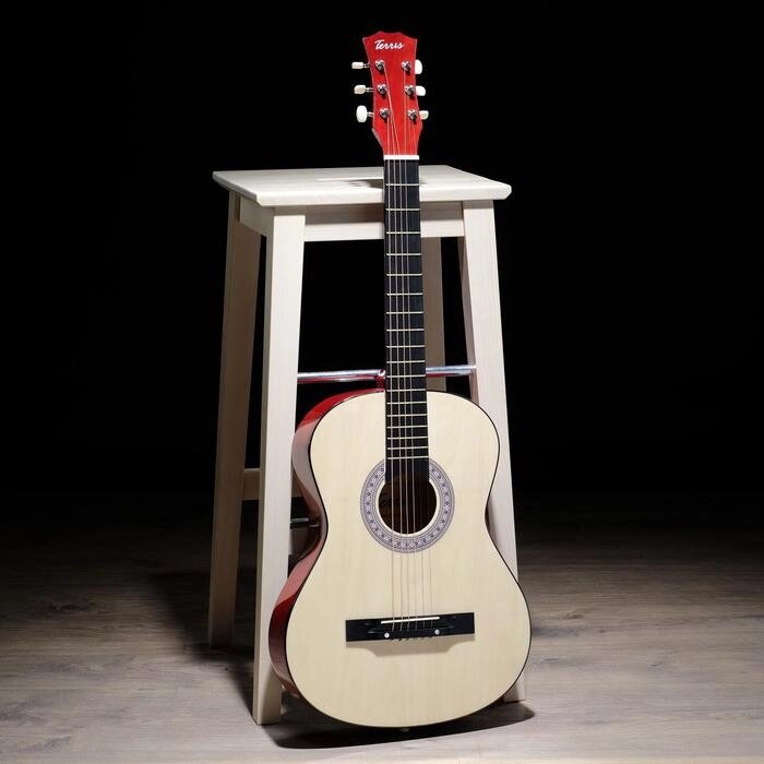 Акустическая гитара TERRIS TF-3802A NA от компании Интернет-гипермаркет «MOLL» - фото 1