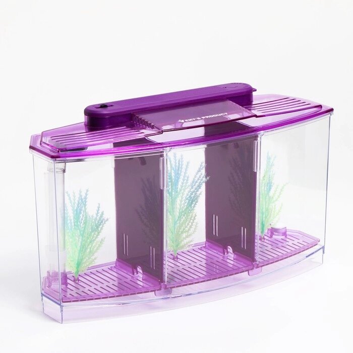 Аквариум-отсадник трехсекционный с подсветкой и светящимися растениями, фиолетовый от компании Интернет-гипермаркет «MOLL» - фото 1