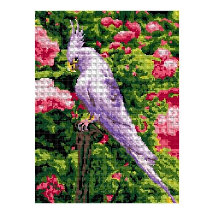 Алмазная мозаика 30*40 см (полное заполнение) "Белый попугай" Ам-050 от компании Интернет-гипермаркет «MOLL» - фото 1