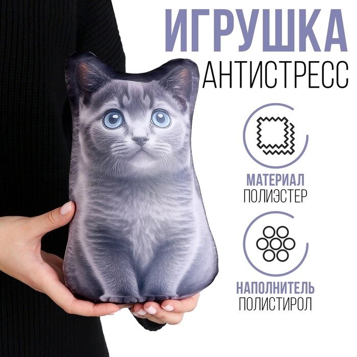 Антистресс игрушка "Котик Русский Голубой" от компании Интернет-гипермаркет «MOLL» - фото 1