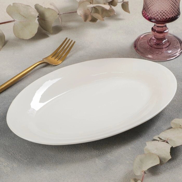 Блюдо овальное White Label, 25,5182 см, с утолщённым краем, цвет белый от компании Интернет-гипермаркет «MOLL» - фото 1