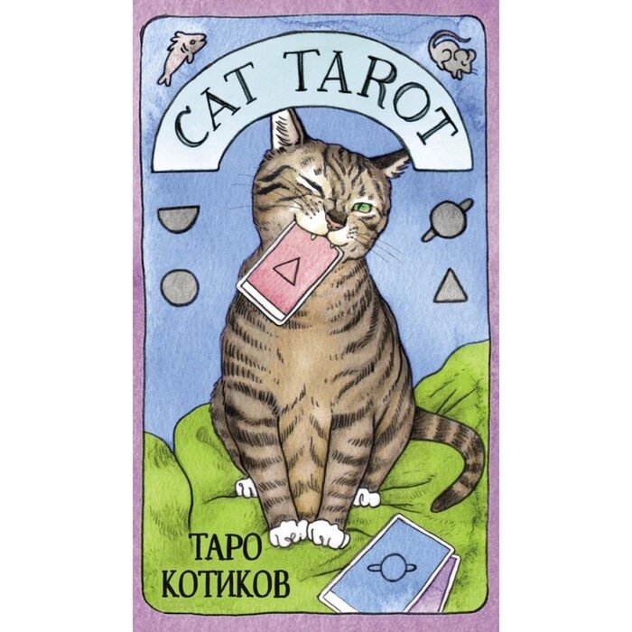 Cat Tarot. Таро Котиков (78 карт и руководство в подарочном футляре). Линн Котт Меган от компании Интернет-гипермаркет «MOLL» - фото 1