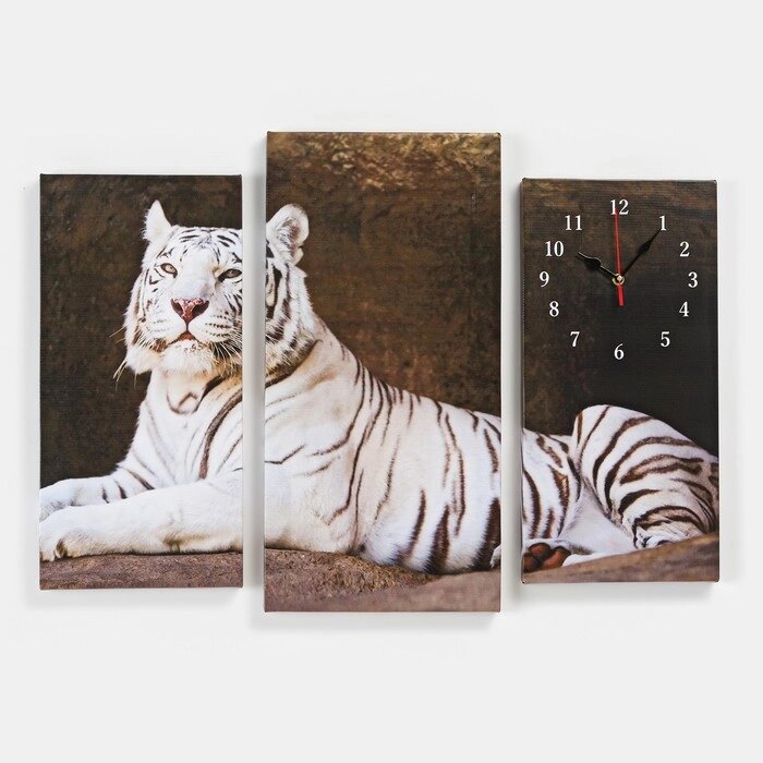 Часы настенные модульные "Белый тигр", 60  80 см от компании Интернет-гипермаркет «MOLL» - фото 1