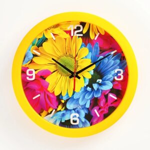 Часы настенные, серия: Цветы, "Краски природы", плавный ход, d=28 см