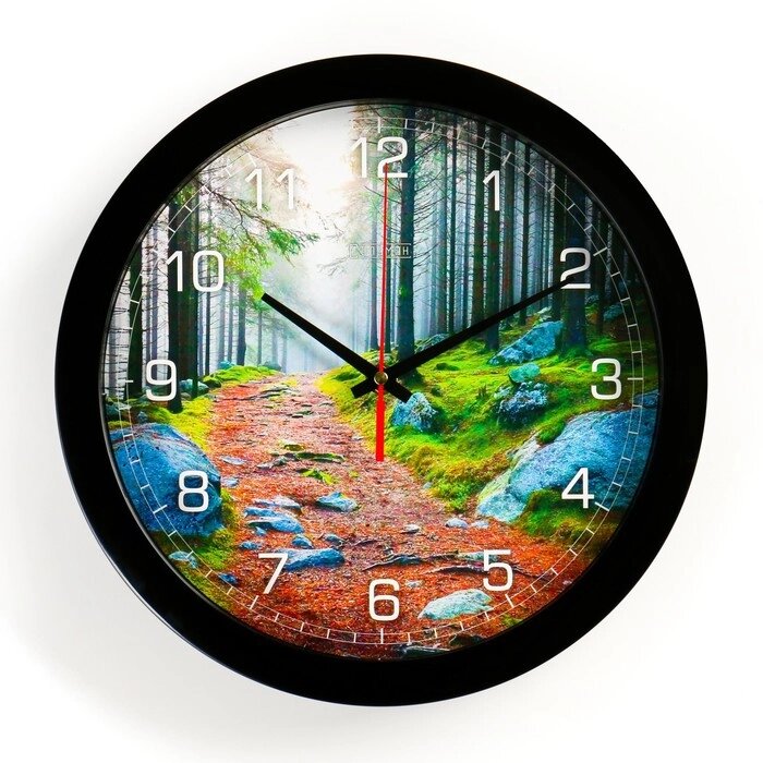 Часы настенные, серия: Природа, "Лесная тропа", плавный ход, d=28 см от компании Интернет-гипермаркет «MOLL» - фото 1