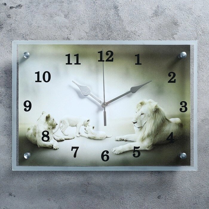 Часы настенные, серия: Животный мир, "Белые львы"25х35см, стрелки микс от компании Интернет-гипермаркет «MOLL» - фото 1