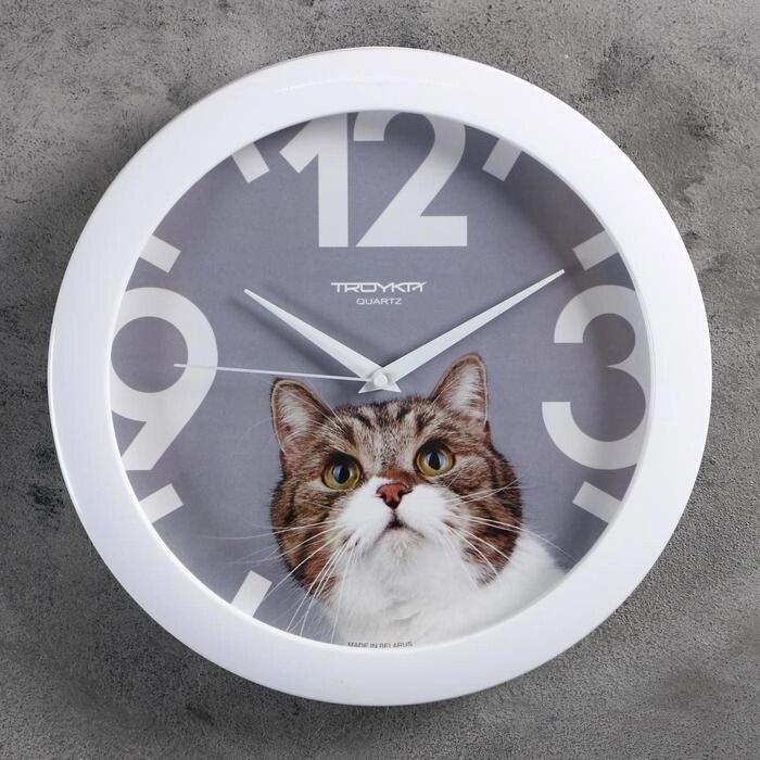 Часы настенные, серия: Животный мир, "Кот", белый обод, 29х29 см от компании Интернет-гипермаркет «MOLL» - фото 1
