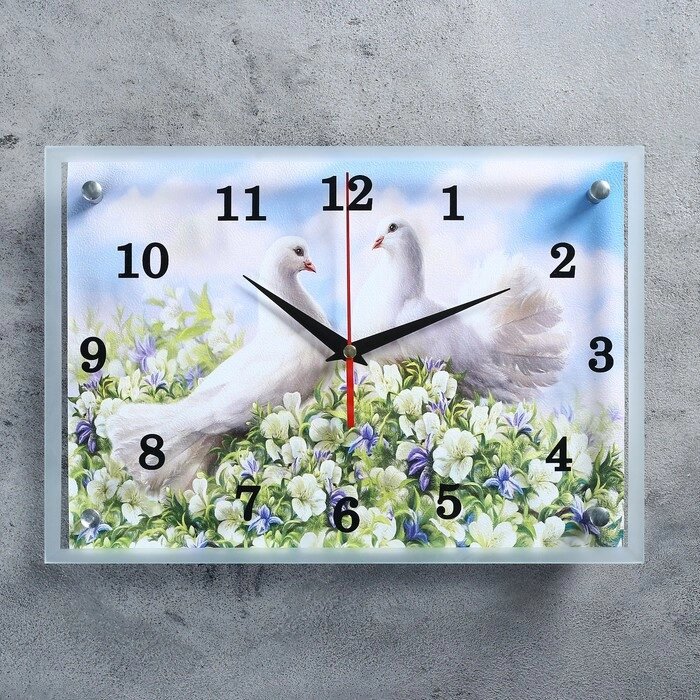 Часы настенные, серия: Животный мир, "Пара голубей"" 25х35 см, микс от компании Интернет-гипермаркет «MOLL» - фото 1
