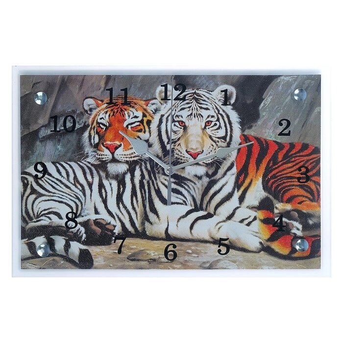 Часы настенные, серия: Животный мир, "Тигры", 20х30  см, микс от компании Интернет-гипермаркет «MOLL» - фото 1