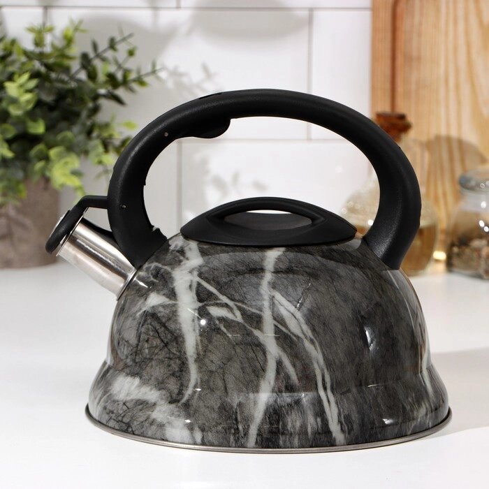 Чайник со свистком 2,8 л "Эшфорд" от компании Интернет-гипермаркет «MOLL» - фото 1