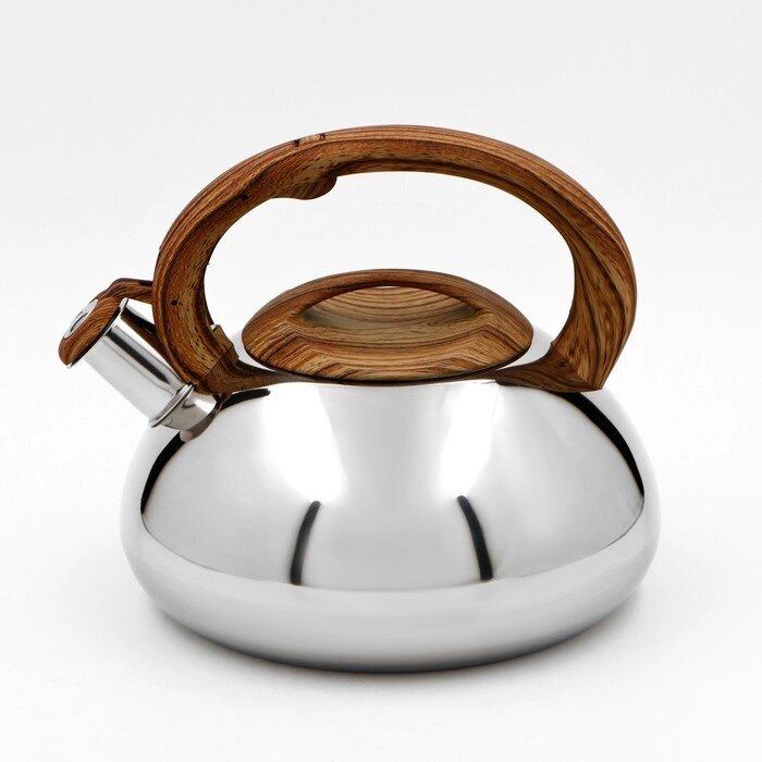 Чайник со свистком 2,8 л "Квант", фиксированная ручка soft-touch, цвет коричневый от компании Интернет-гипермаркет «MOLL» - фото 1