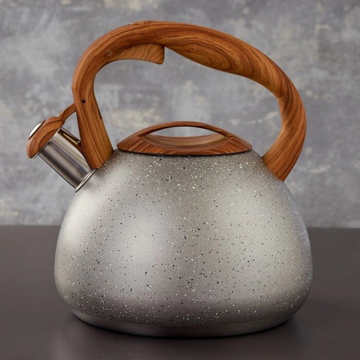 Чайник со свистком Magistro Stone, 2,7 л, ручка soft-touch, индукция, цвет серый от компании Интернет-гипермаркет «MOLL» - фото 1