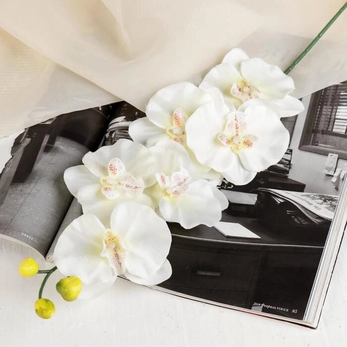 Цветок искусственный "Орхидея" 9*60 см, белая с жёлтым от компании Интернет-гипермаркет «MOLL» - фото 1