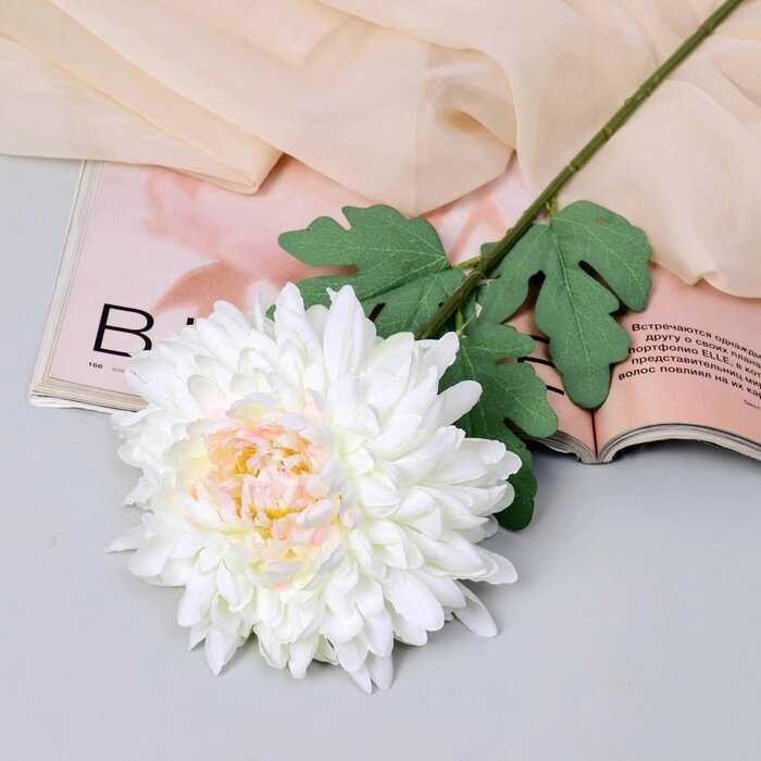 Цветы искусственные "Хризантема садовая галант" 14х57 см, белый от компании Интернет-гипермаркет «MOLL» - фото 1