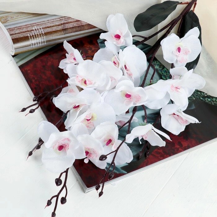 Цветы искусственные "Орхидея фаленопсис" 8*80 см, белый от компании Интернет-гипермаркет «MOLL» - фото 1
