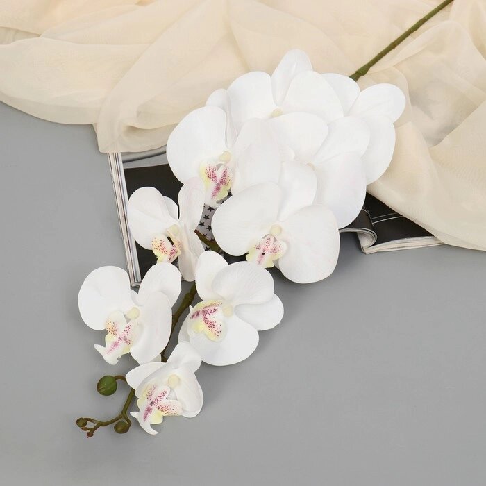 Цветы искусственные "Орхидея фаленопсис бархатистая" 10*90 см, белый от компании Интернет-гипермаркет «MOLL» - фото 1