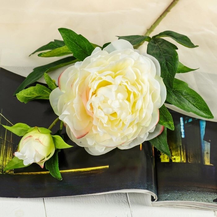 Цветы искусственные "Пион дуо" 12*60 см, белый от компании Интернет-гипермаркет «MOLL» - фото 1