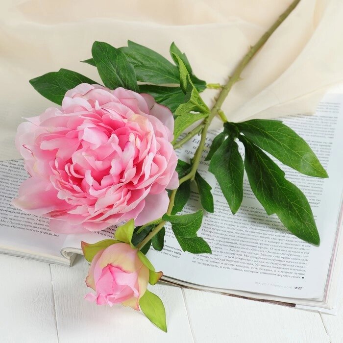 Цветы искусственные "Пион дуо" 12*60 см, розовый от компании Интернет-гипермаркет «MOLL» - фото 1