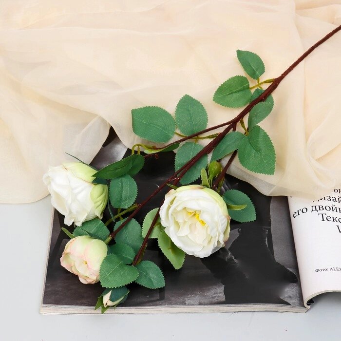 Цветы искусственные "Роза пионовидная галант" 7х61 см, белый от компании Интернет-гипермаркет «MOLL» - фото 1