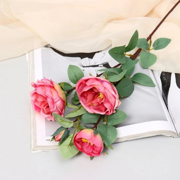 Цветы искусственные "Роза пионовидная галант" 7х61 см, розовый от компании Интернет-гипермаркет «MOLL» - фото 1