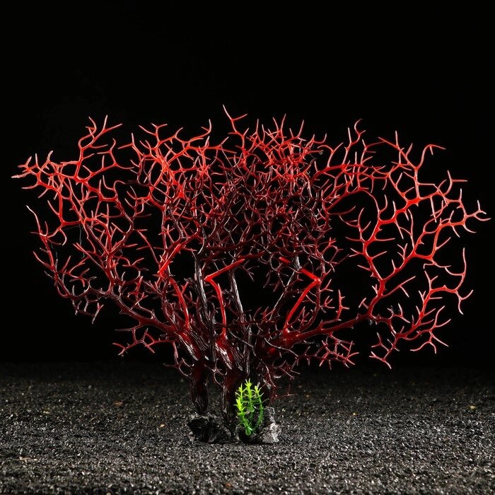 Декор для аквариума "Коралловое растение", 34 х 10 х 28 см от компании Интернет-гипермаркет «MOLL» - фото 1