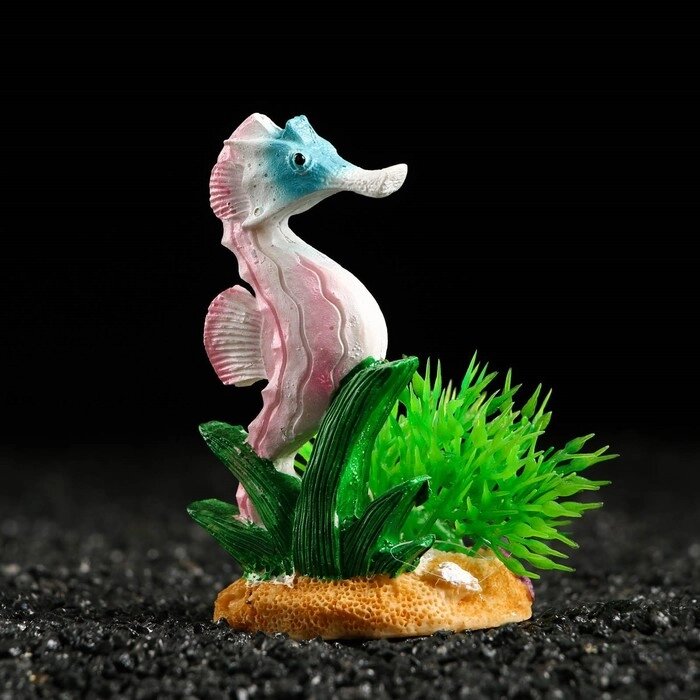 Декор для аквариума "Морской конёк" на подставке, 5 х 4,5 х 8,5 см от компании Интернет-гипермаркет «MOLL» - фото 1