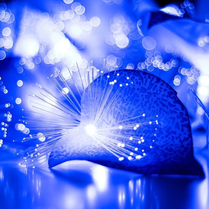 Декоративная подсветка "Антуриум" 20хLED 4000К 5м синий 500х9х10см от компании Интернет-гипермаркет «MOLL» - фото 1