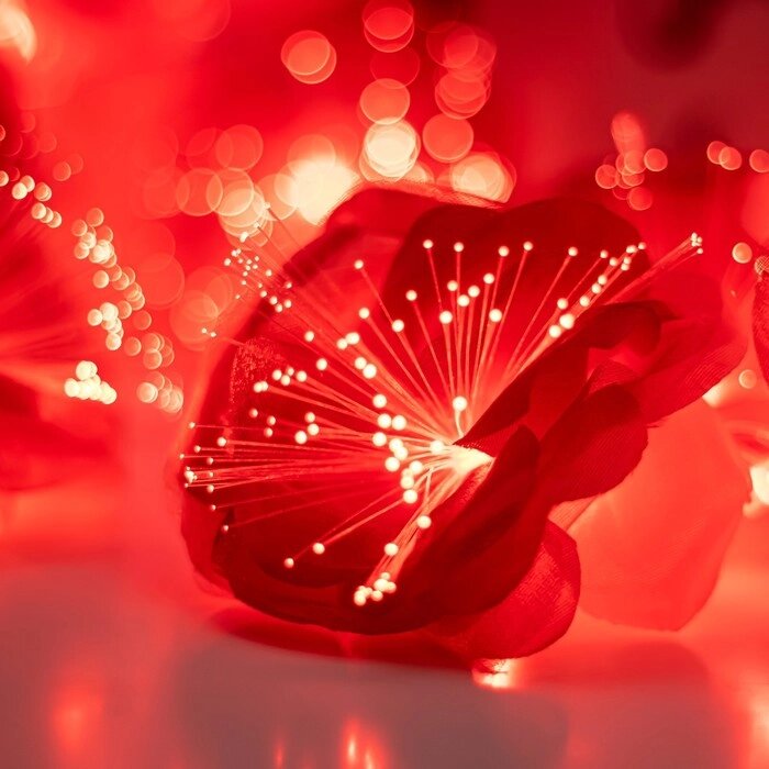 Декоративная подсветка "Маки" 20хLED 4000К 5м красный 500х9х9см от компании Интернет-гипермаркет «MOLL» - фото 1