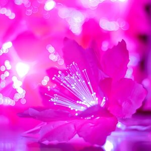 Декоративная подсветка "Малопа" 20хLED 4000К 5м розовый 500х14х14см