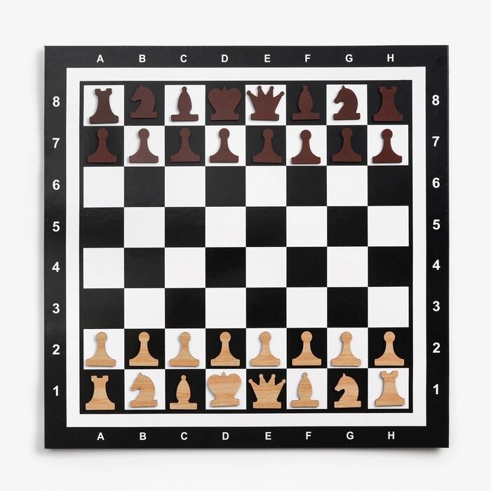 Демонстрационные шахматы на магнитной доске, 60х60 см от компании Интернет-гипермаркет «MOLL» - фото 1