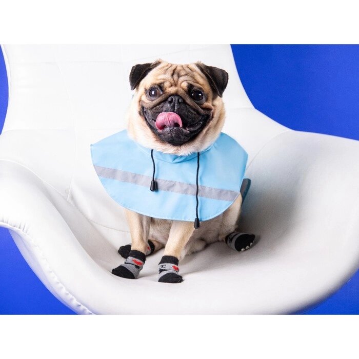 Дождевик для собак, размер М (ДС 25-30, ОГ 33-35, ОШ 21-25 см), голубой от компании Интернет-гипермаркет «MOLL» - фото 1