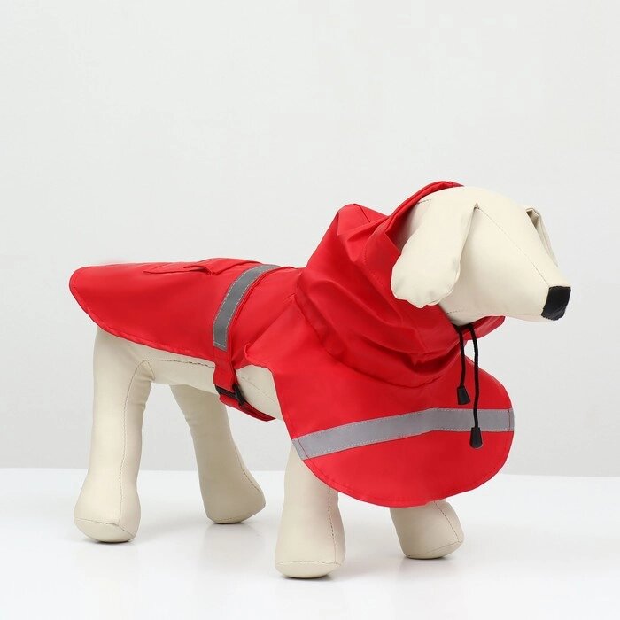 Дождевик для собак, размер S (ДС 20-25, ОГ 25-30, ОШ 17-21 см), красный от компании Интернет-гипермаркет «MOLL» - фото 1