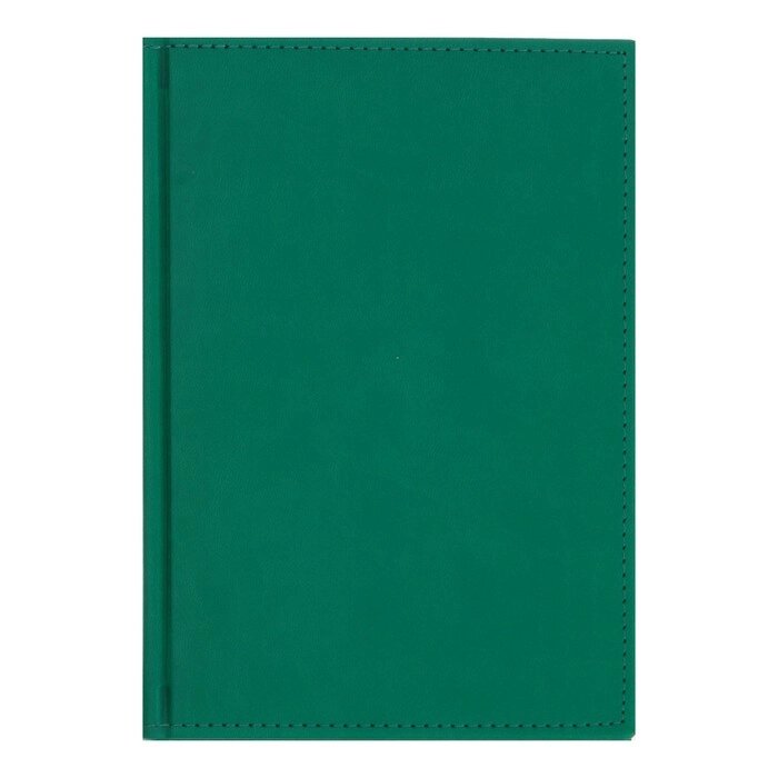 Ежедневник недатированный А5, 160 листов "Вивелла", обложка искусственная кожа, светло-зелёный от компании Интернет-гипермаркет «MOLL» - фото 1